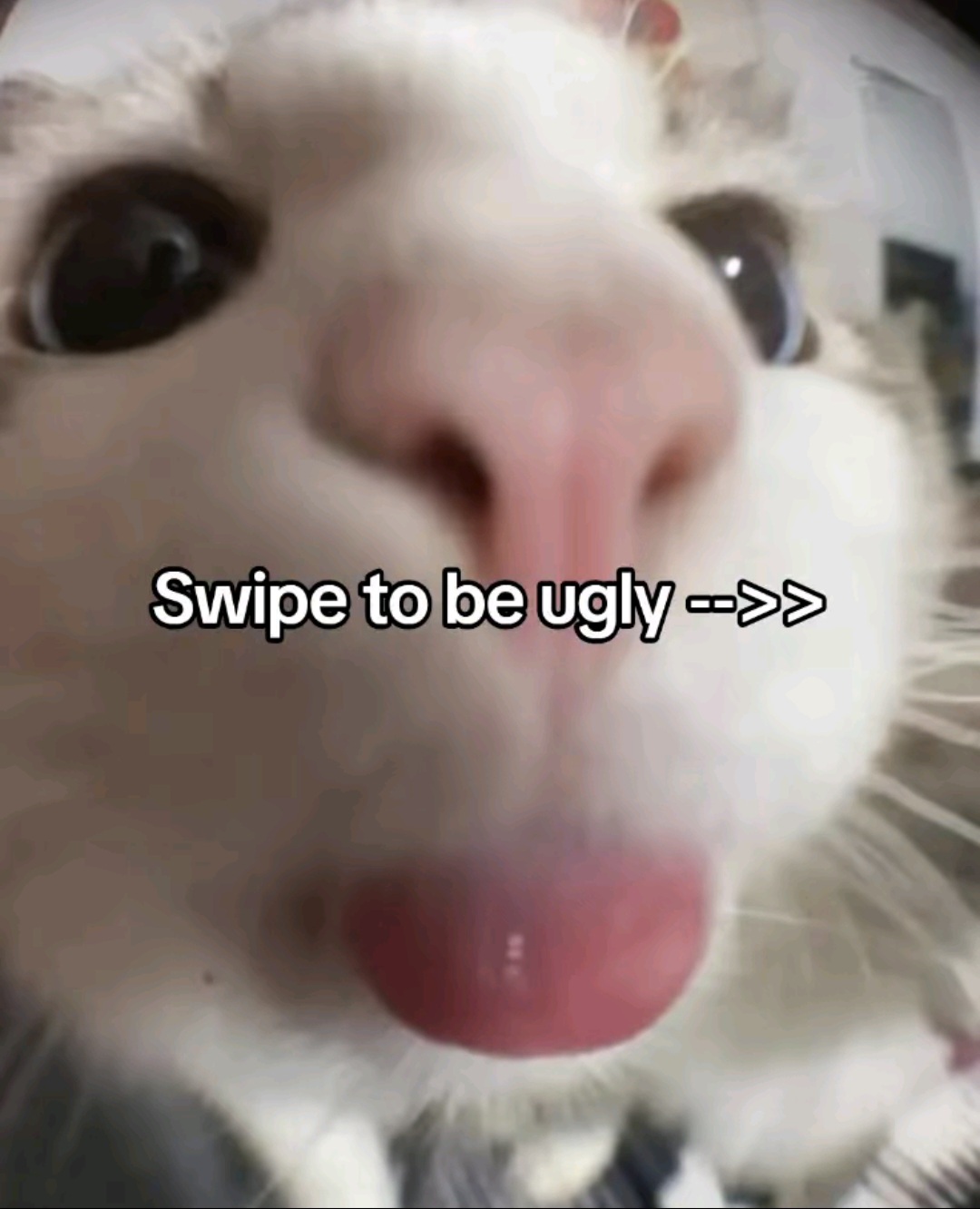 @JISUNG