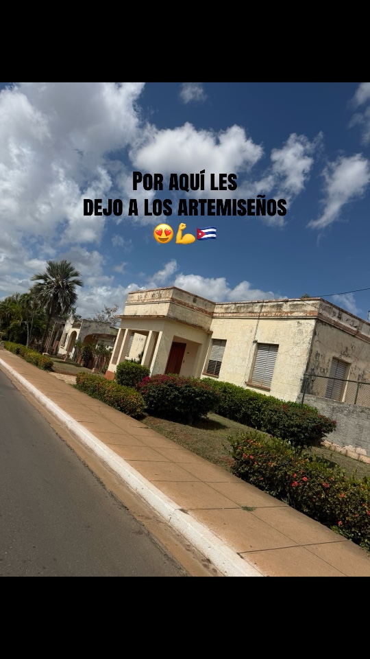 @Dileimysdelpino