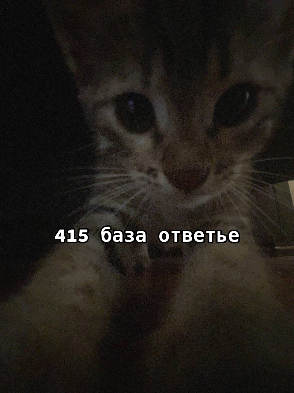 @Дорамщица😉