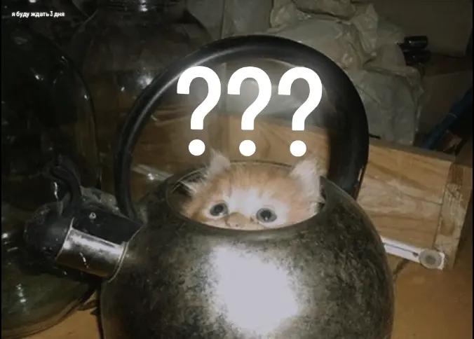 @𝙴𝙽𝙳𝚈!