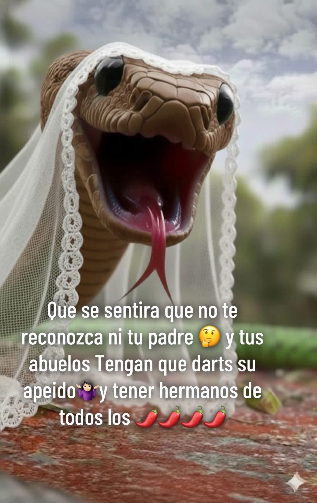 @🌷💎JOYERIA💎ARELLANO💎🌷