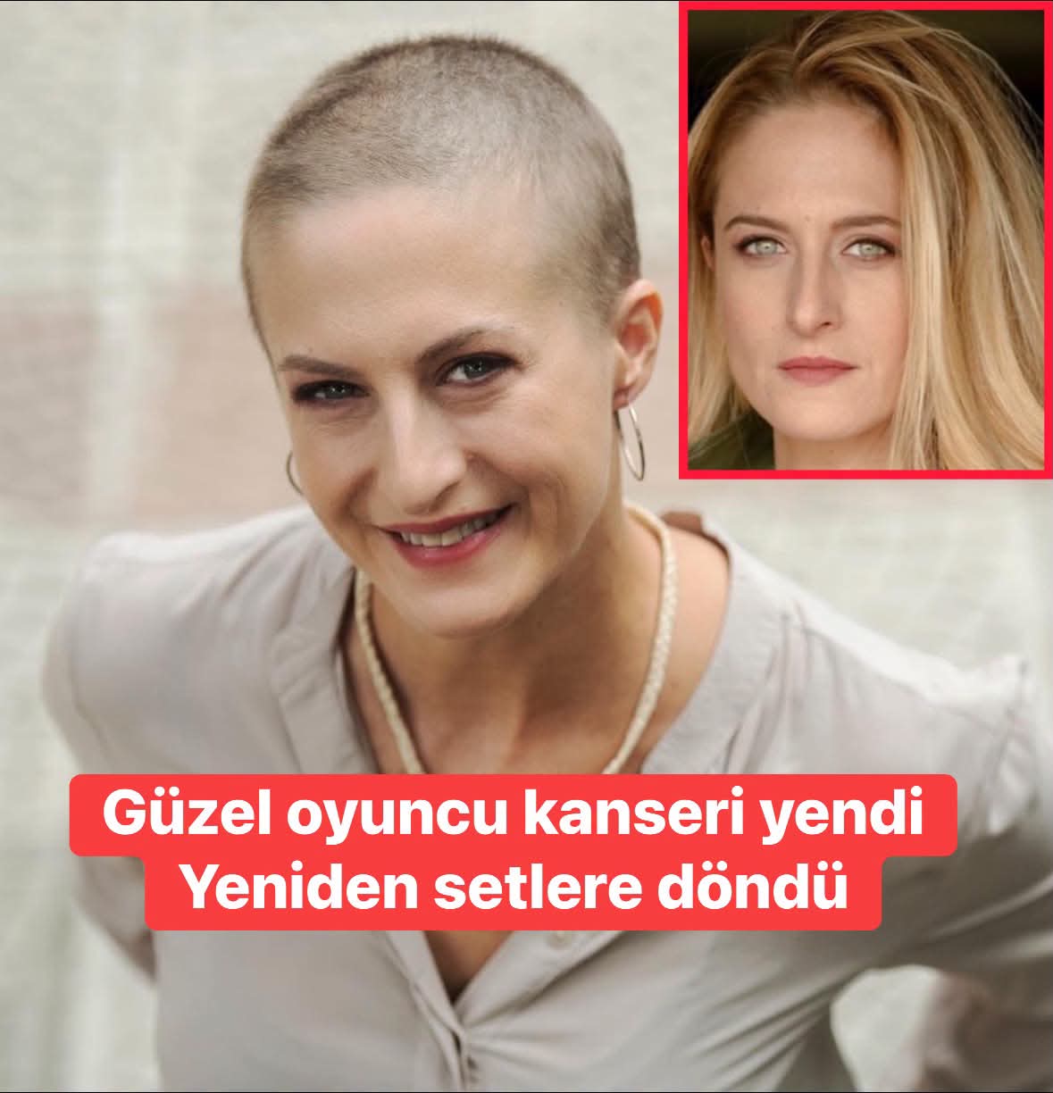 @🕊️