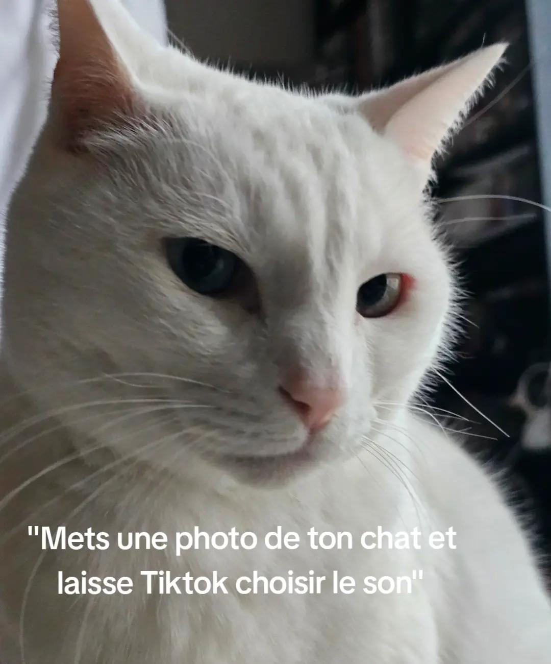 @Akito