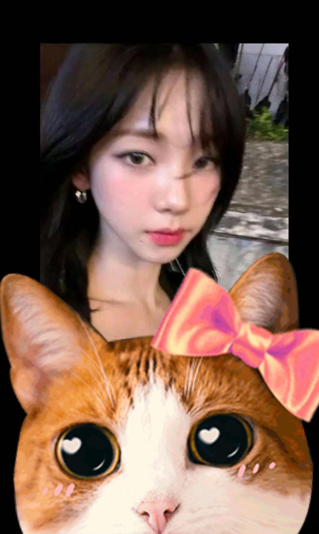 @합사