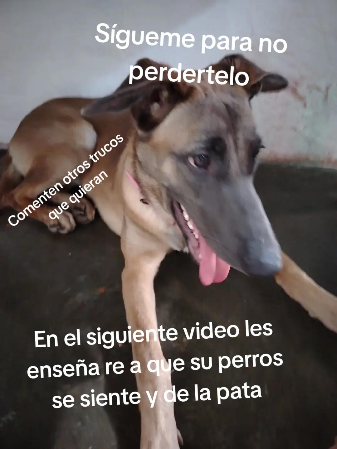 @Adrian