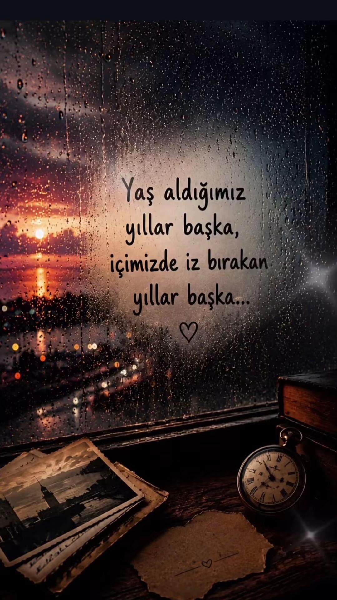@48 Krall Lionn