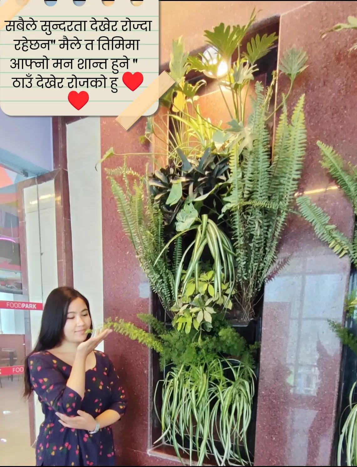 @प्रबिना ❤️ (Mithya)