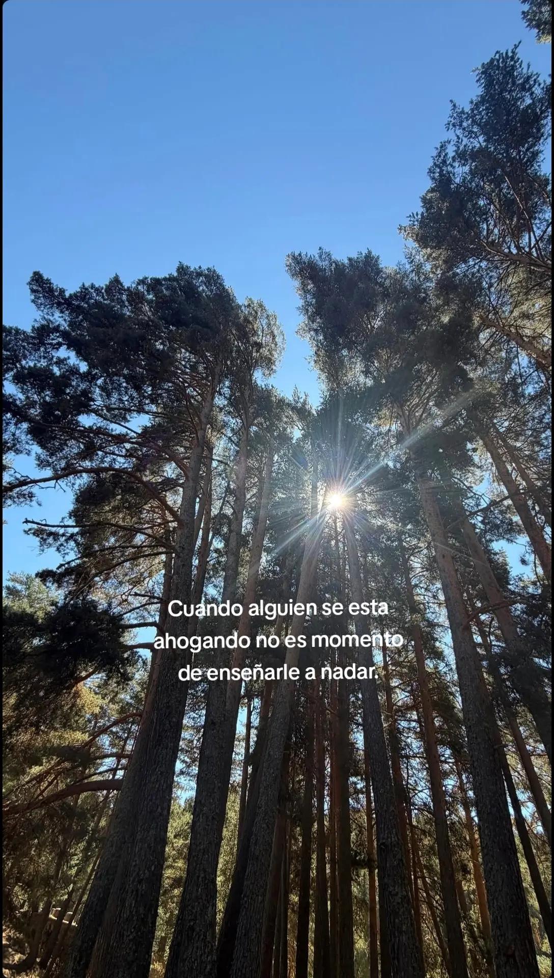 @L A R A