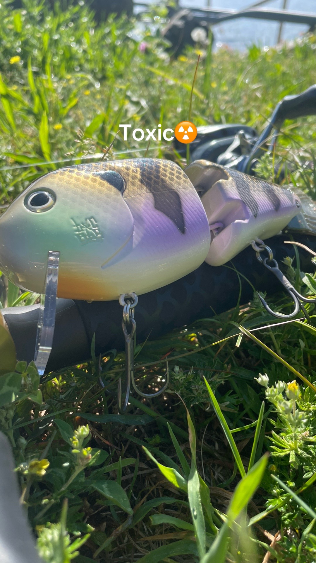 @sams.fishing_