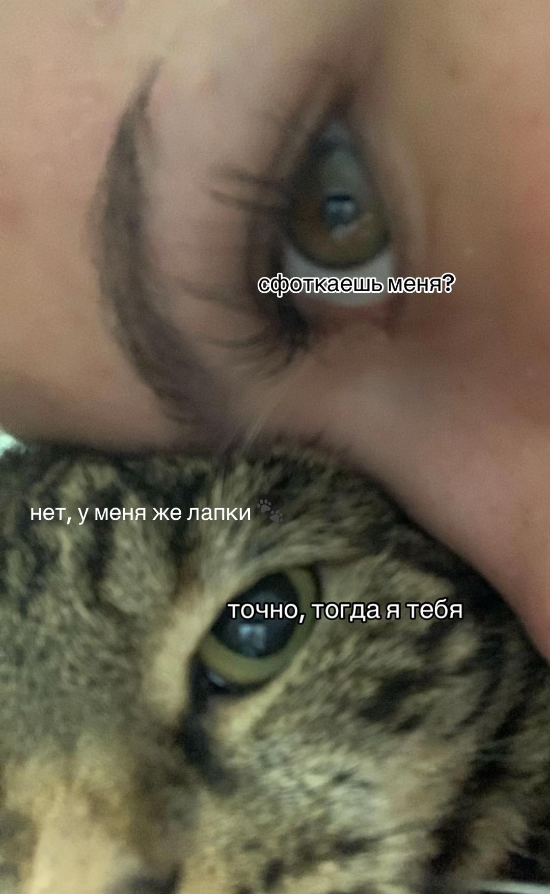 @анечк