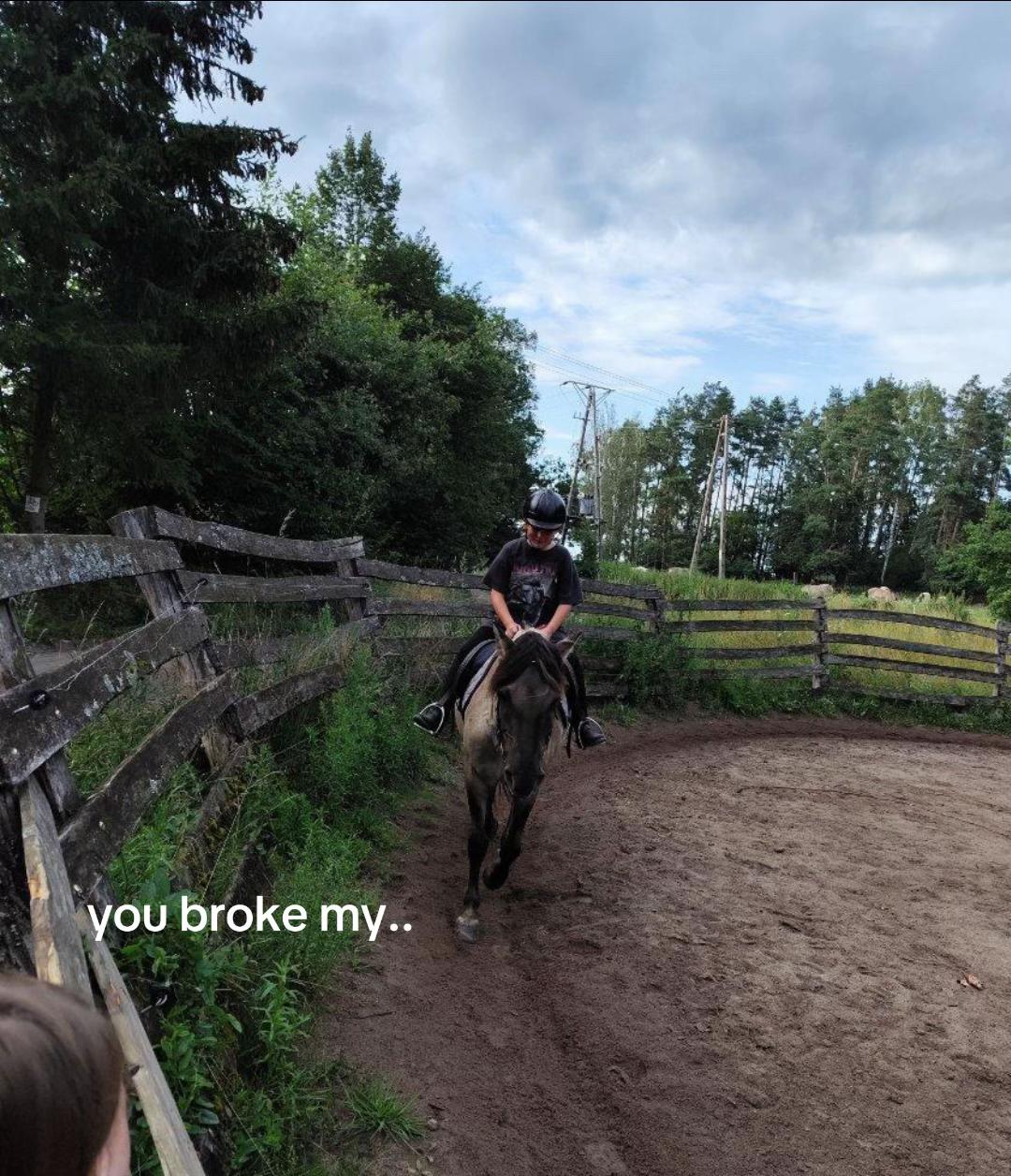@l.equestrian🪽