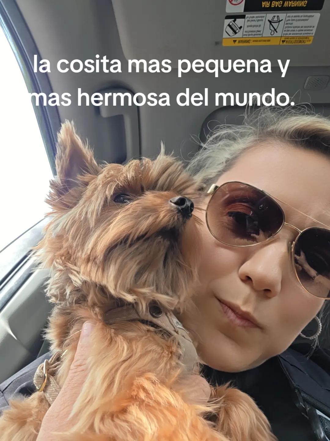 @spi.liciOSO