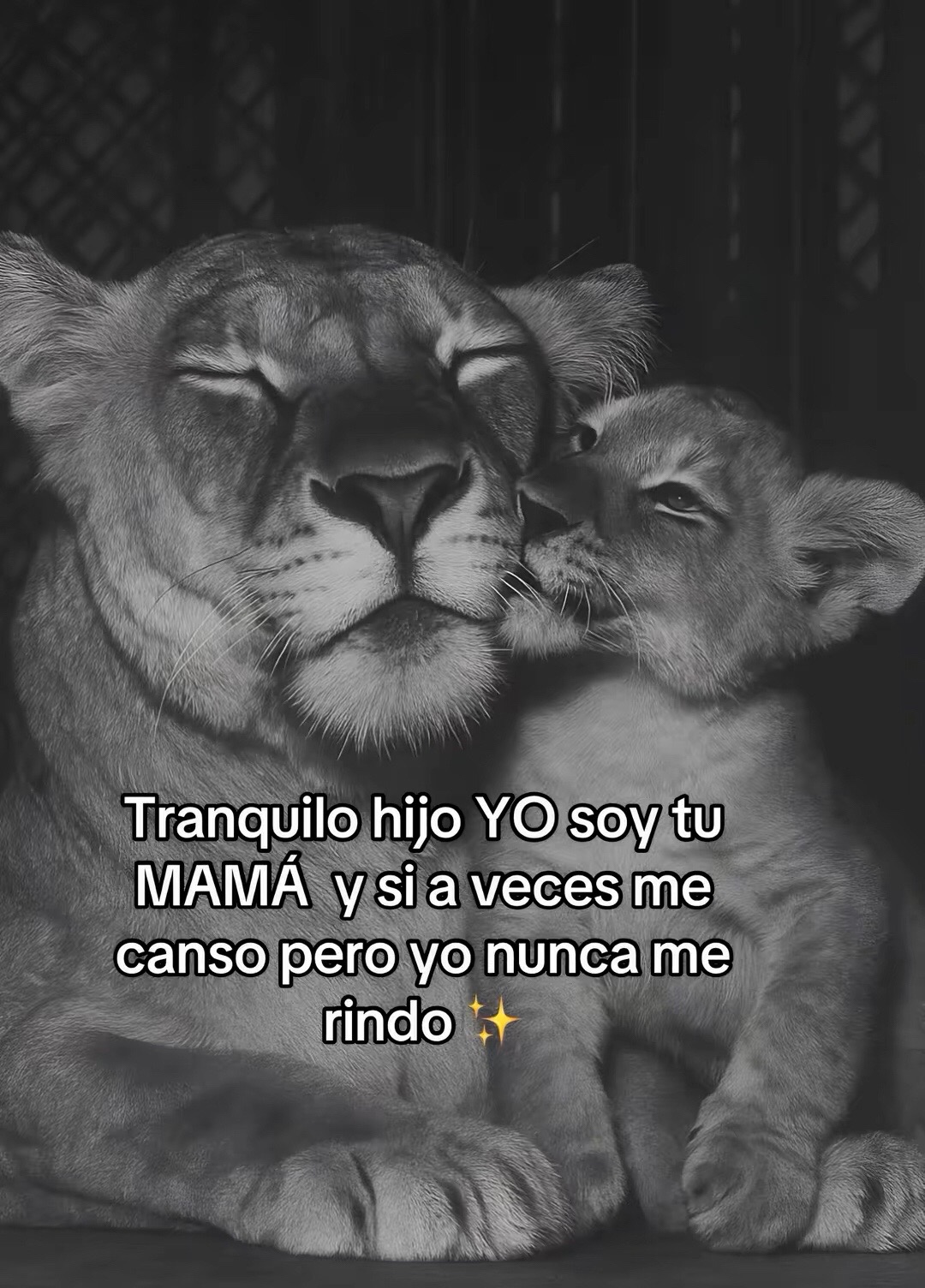 @ Faty 🧸❤️