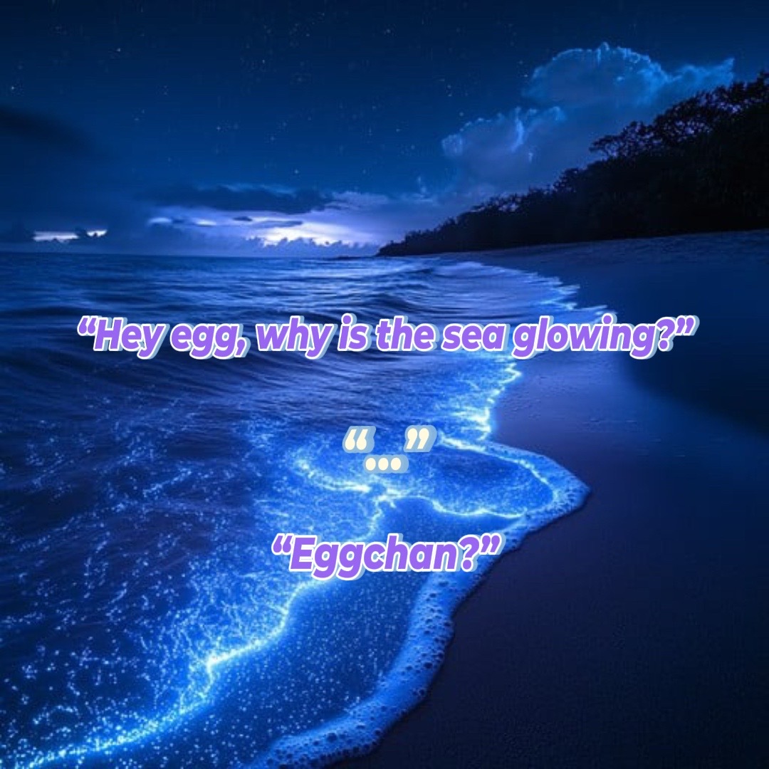 @☆࿐ཽ༵༆༒𝔢𝔩𝔩𝔞𝔯༒༆࿐ཽ༵☆