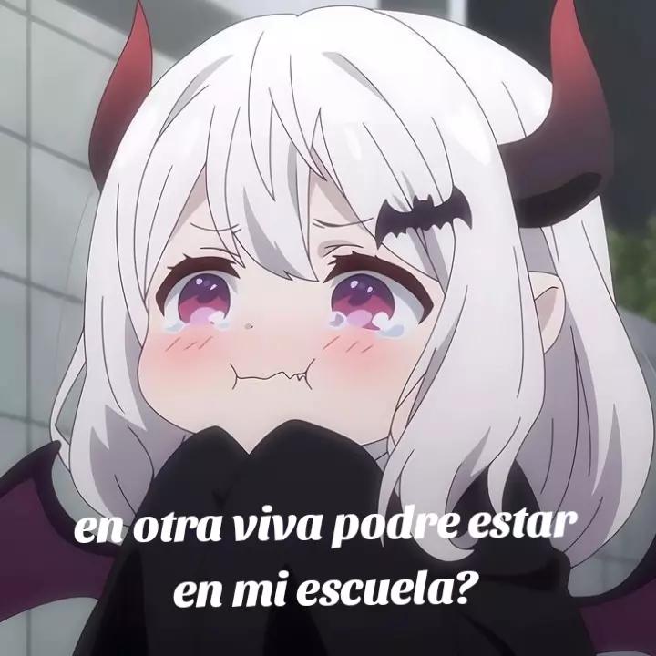 @soyGalilea.oficial✓