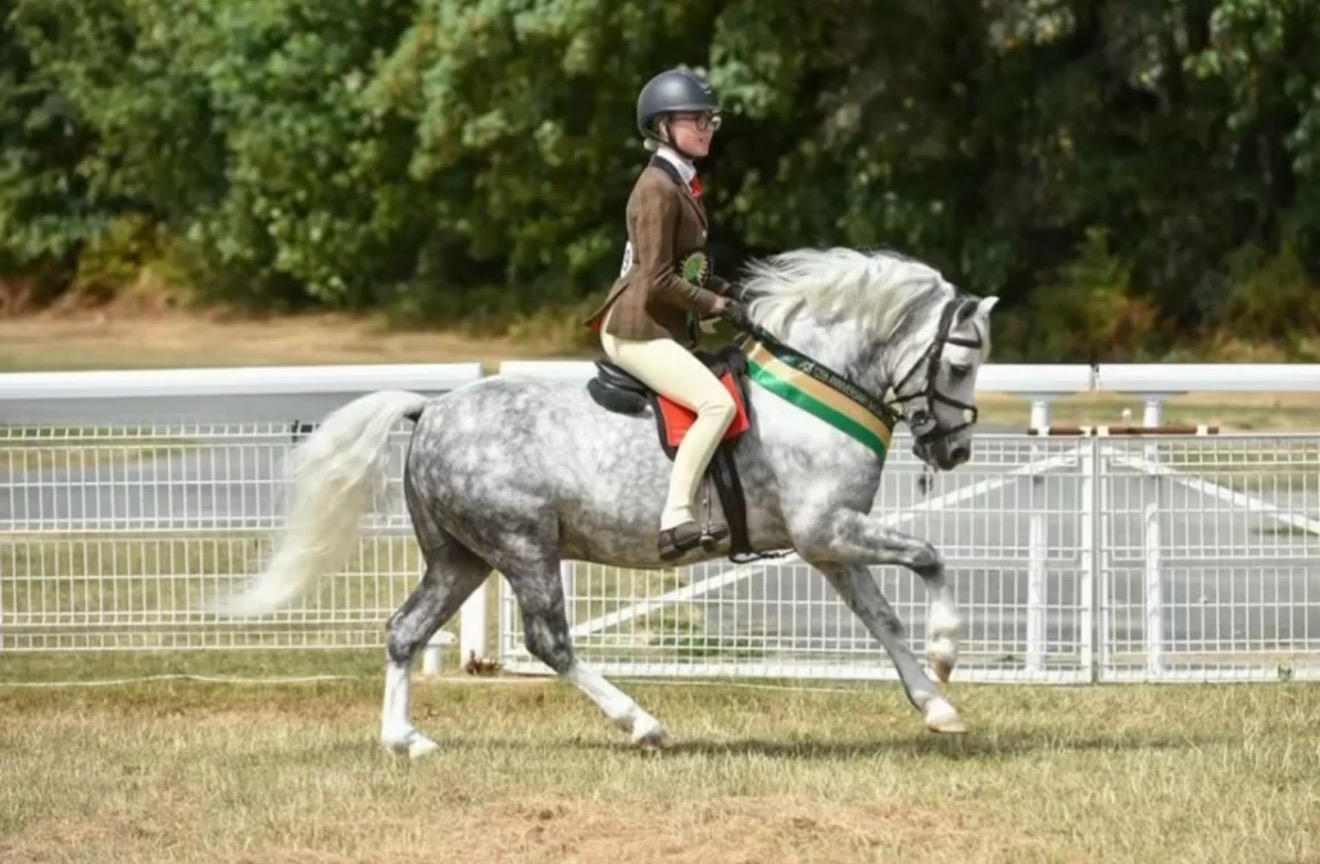 @AAPS_ponys