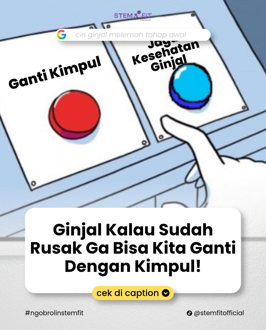 @Stemfit Official