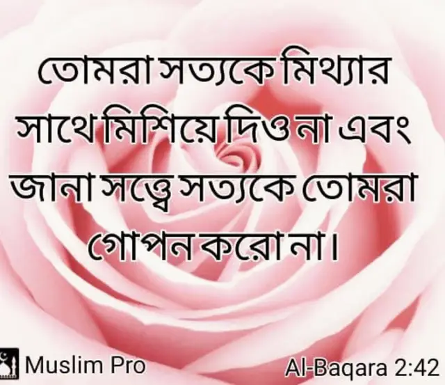 @KhichuriTV খিচুড়ি টিভি