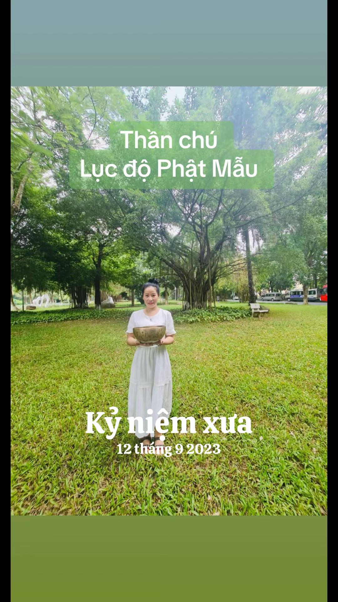 @Phúc Tara
