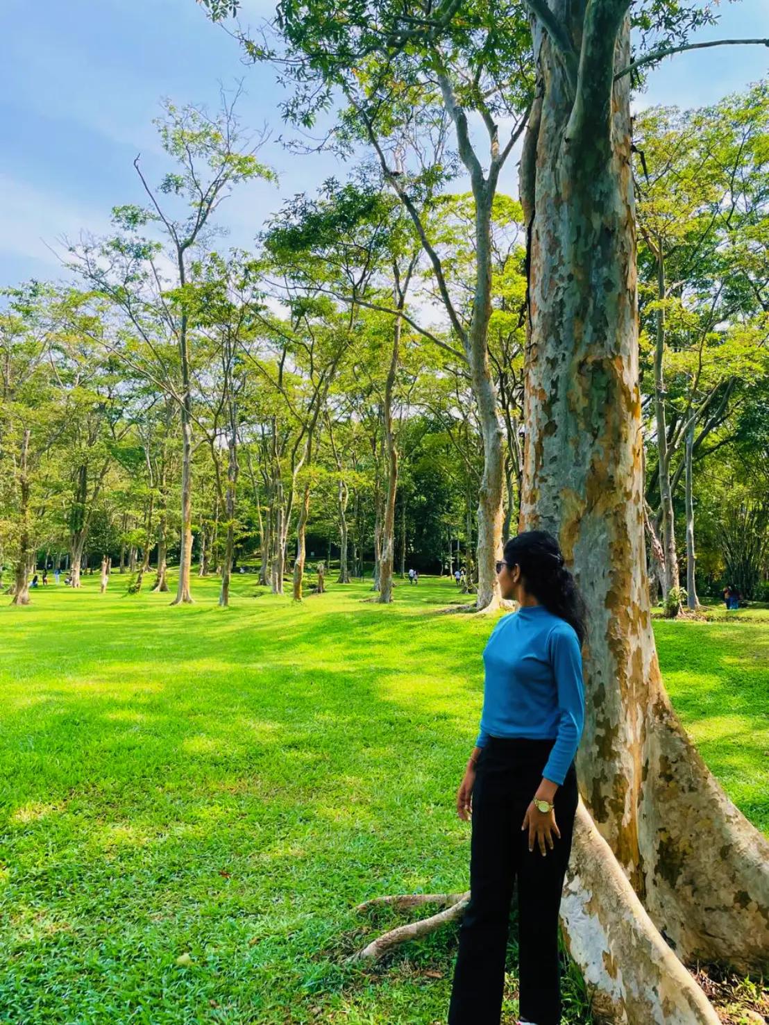 @vianzu ❤️விஹன்சா 🕊️විහන්සා 🧿
