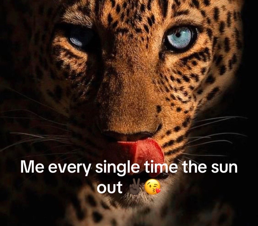@daisyro27