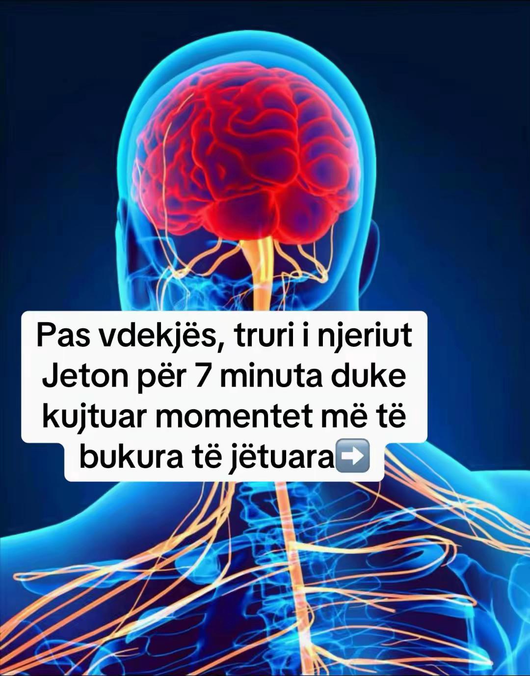 @Luli Gashani