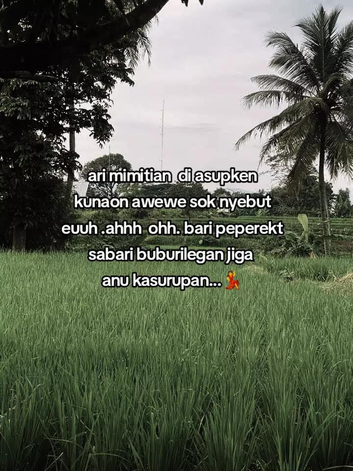 @Ɓ&Ugrave;&ETH;&Atilde;Ķ Ś&Uacute;ŃĎ&Acirc;💥🐅