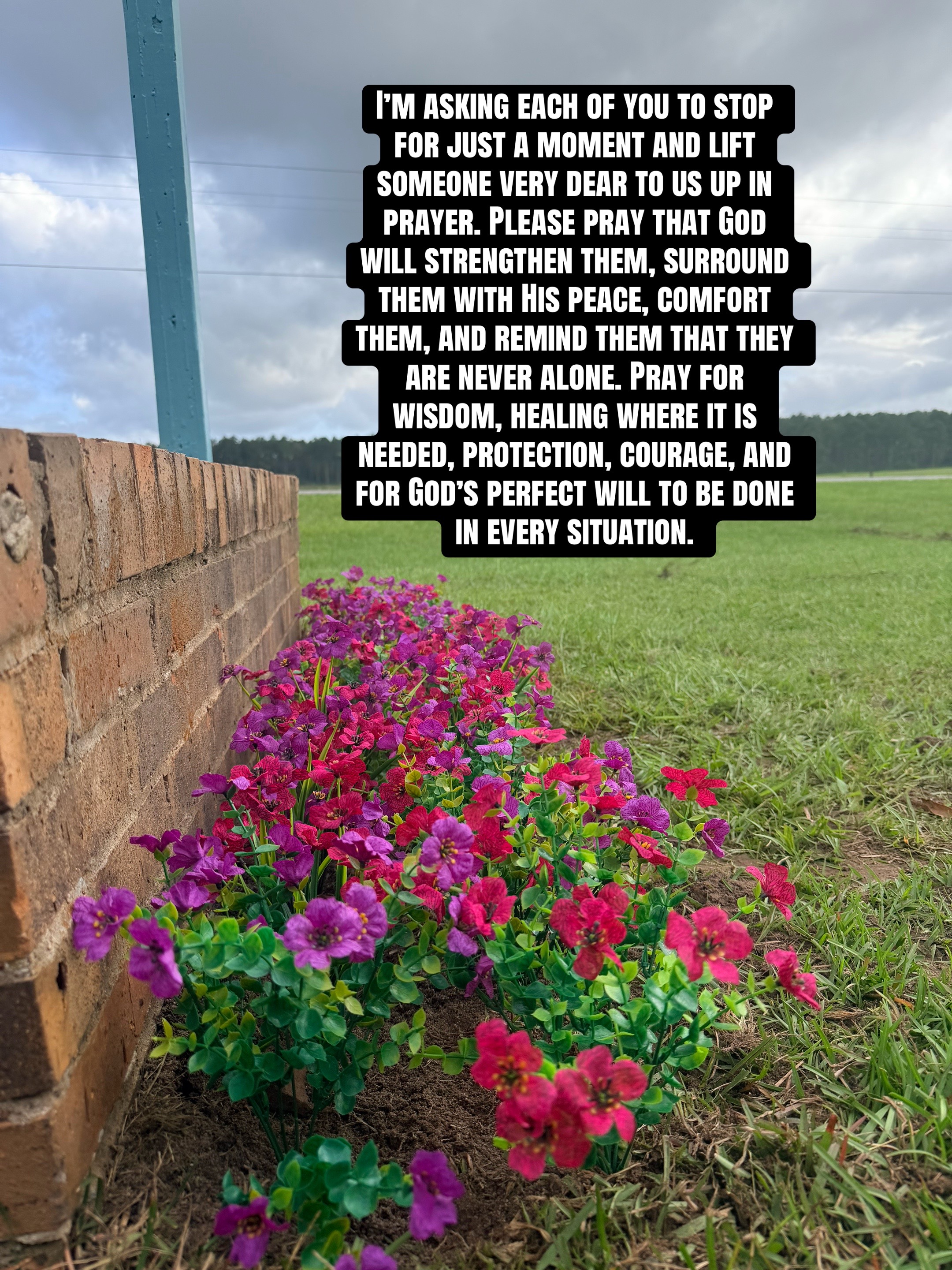 @✝️🌸🌻Amanda🌻🌸✝️
