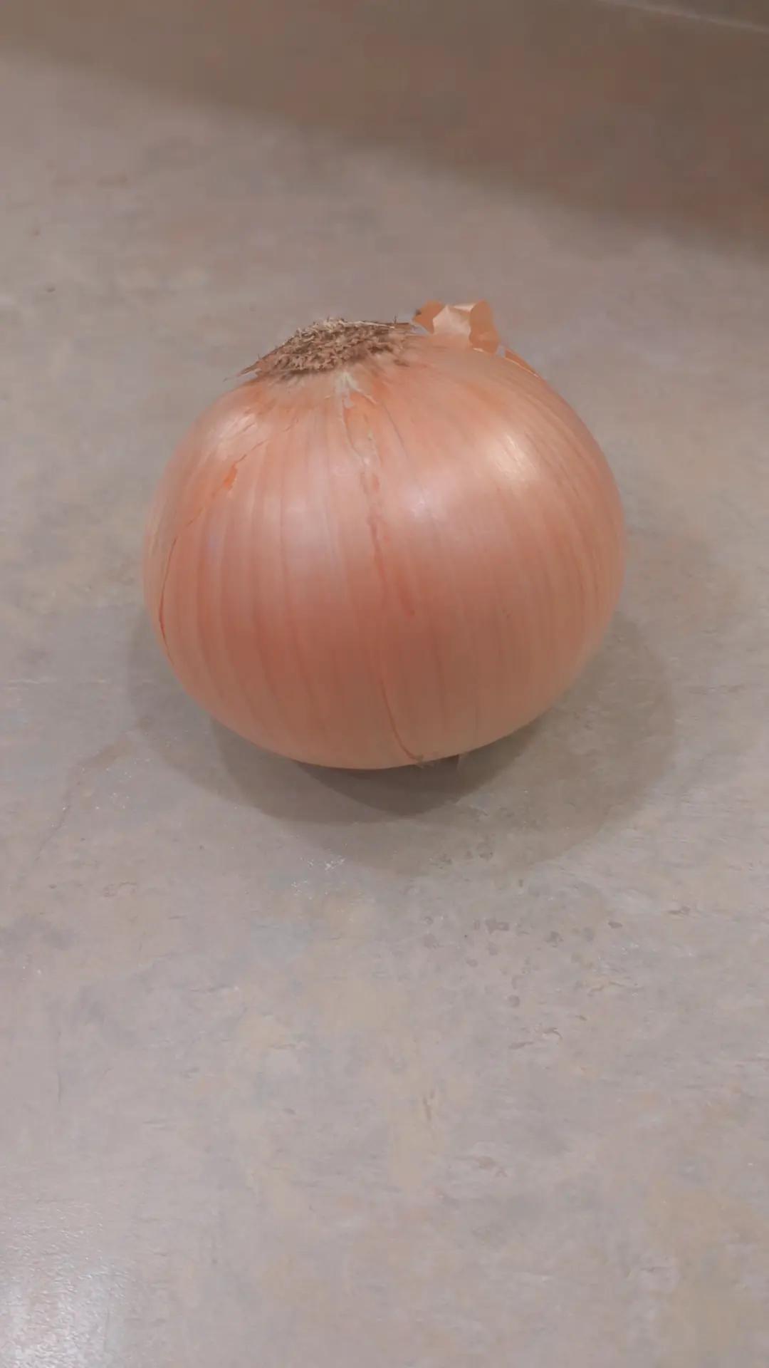 @sammich