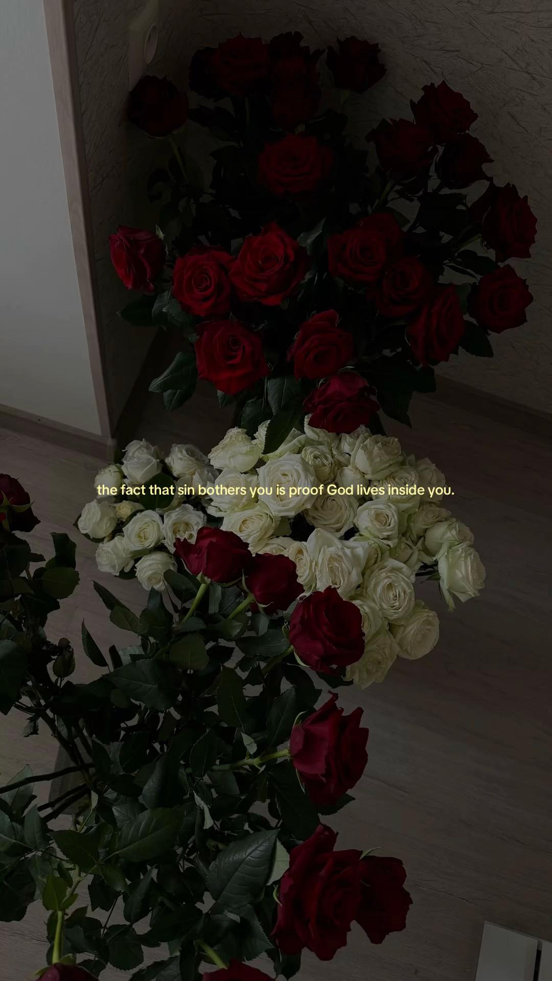@rose