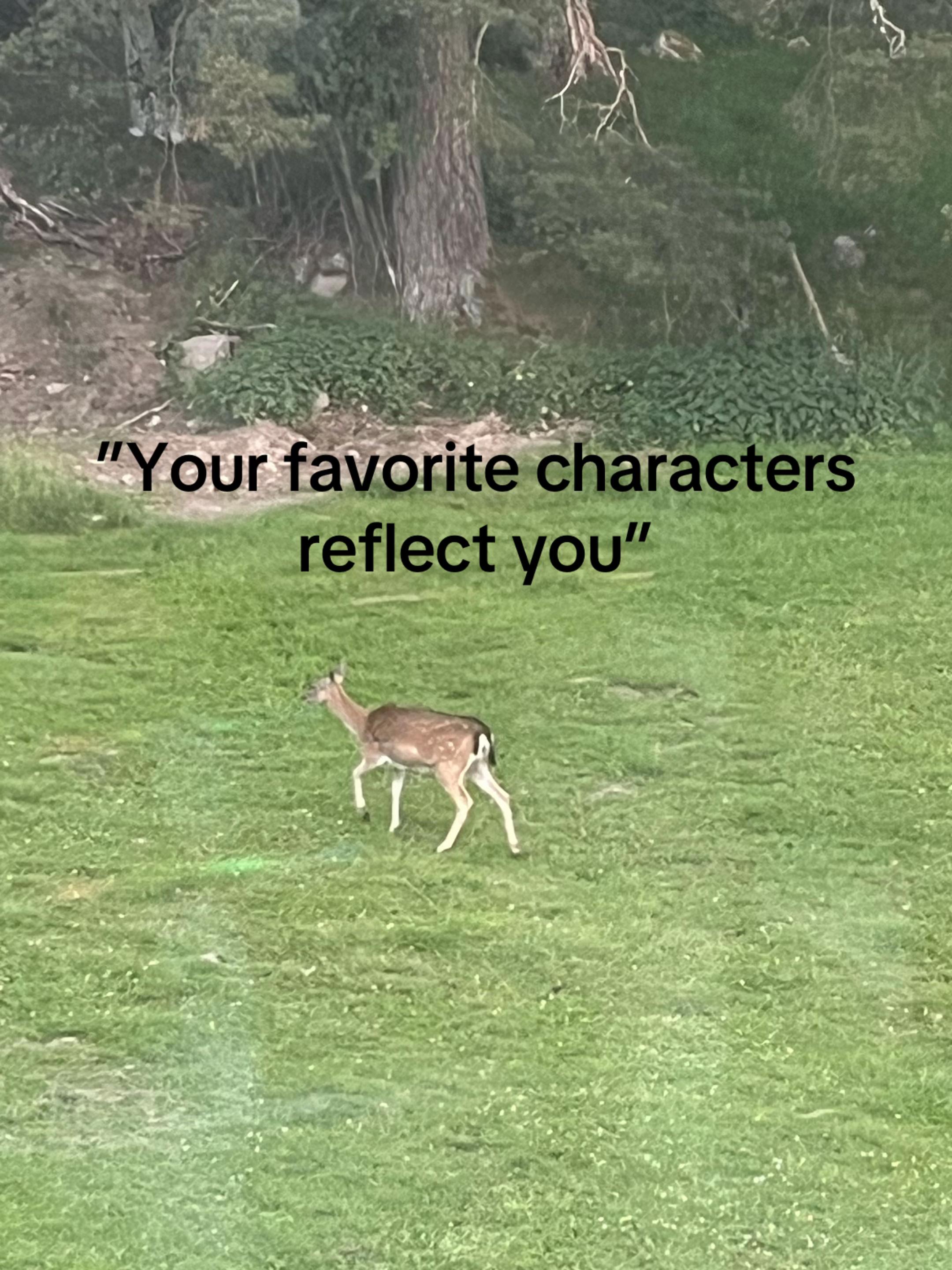 @ʙᴇᴀᴜ Ი𐑼