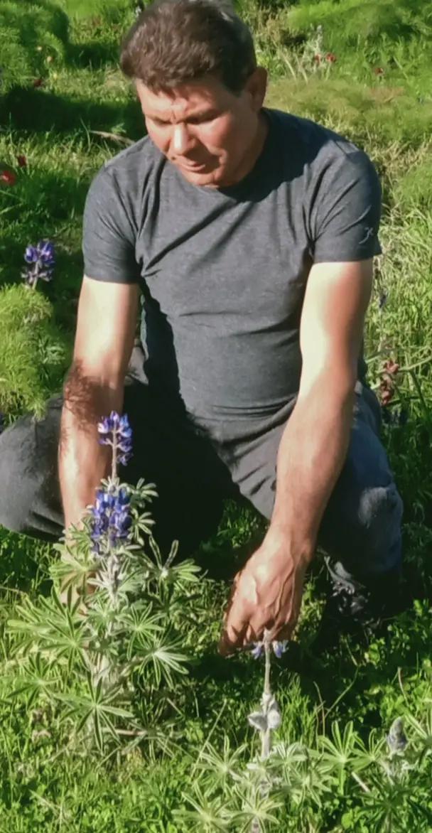 @POLAT ALEMDAR
