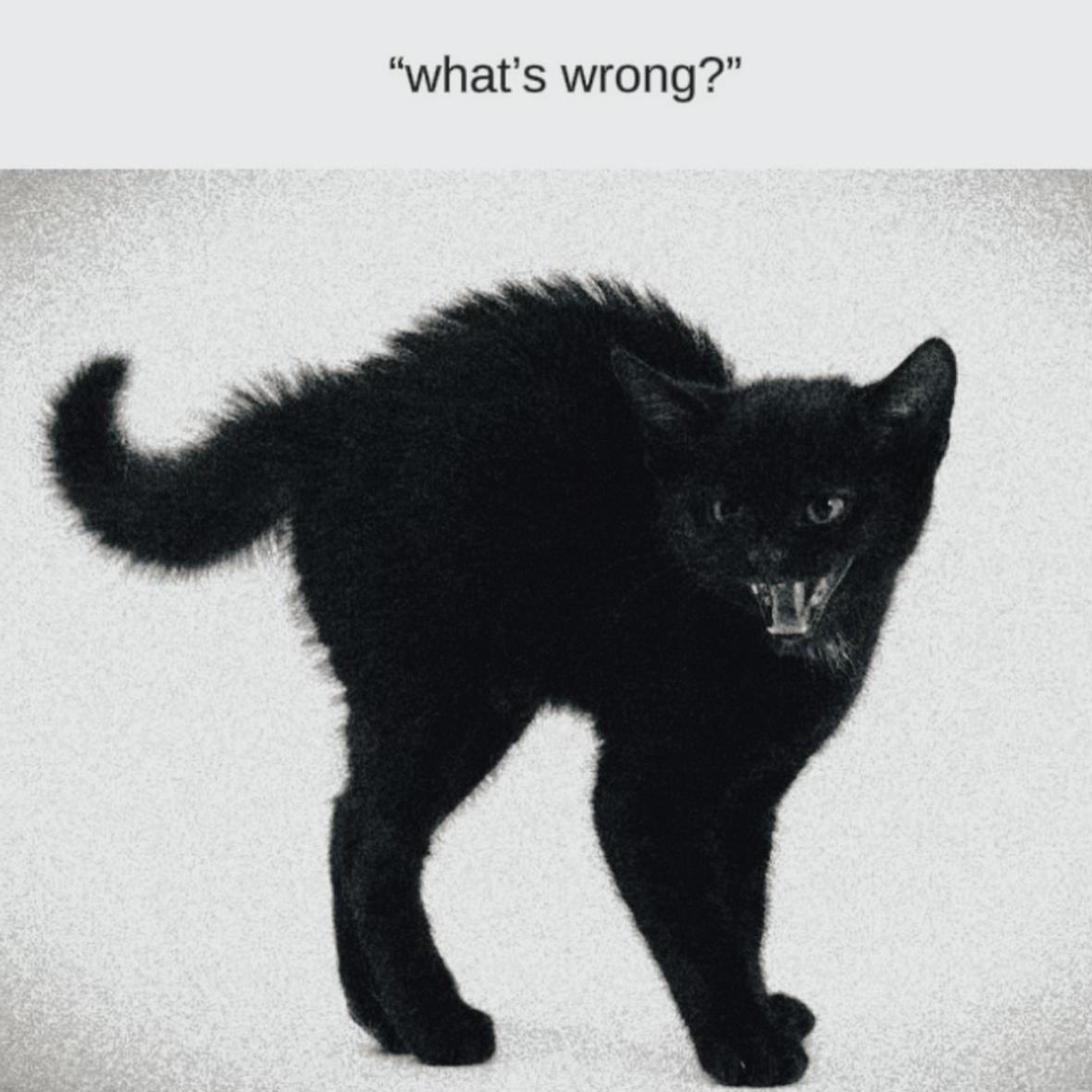 @𝗞𝗜𝗧𝗧𝗬 ౨ৎ