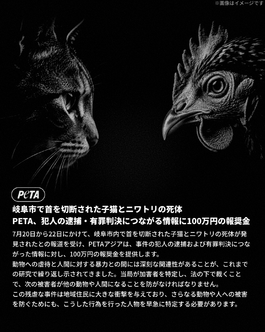 @PETAアジア 動物の倫理的扱いを求める人々の会 JAPAN