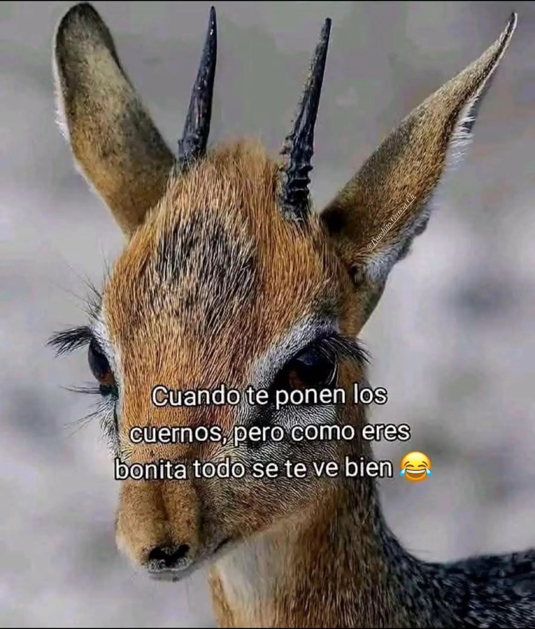 @Jesus De la Torre