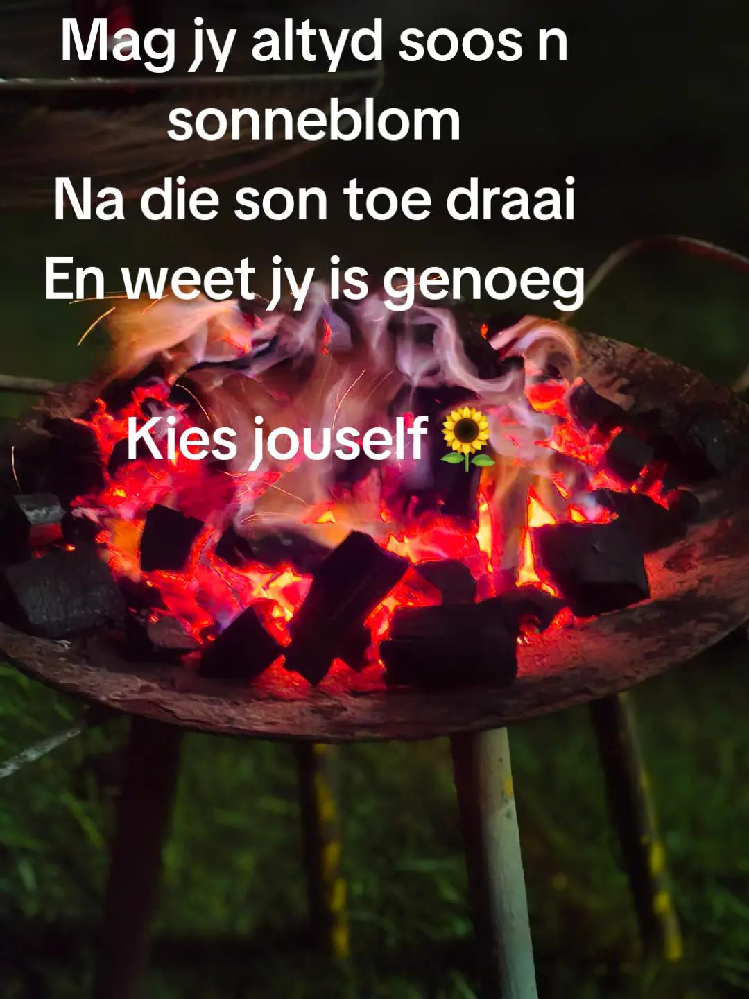 @@boerseun7777🇺🇸