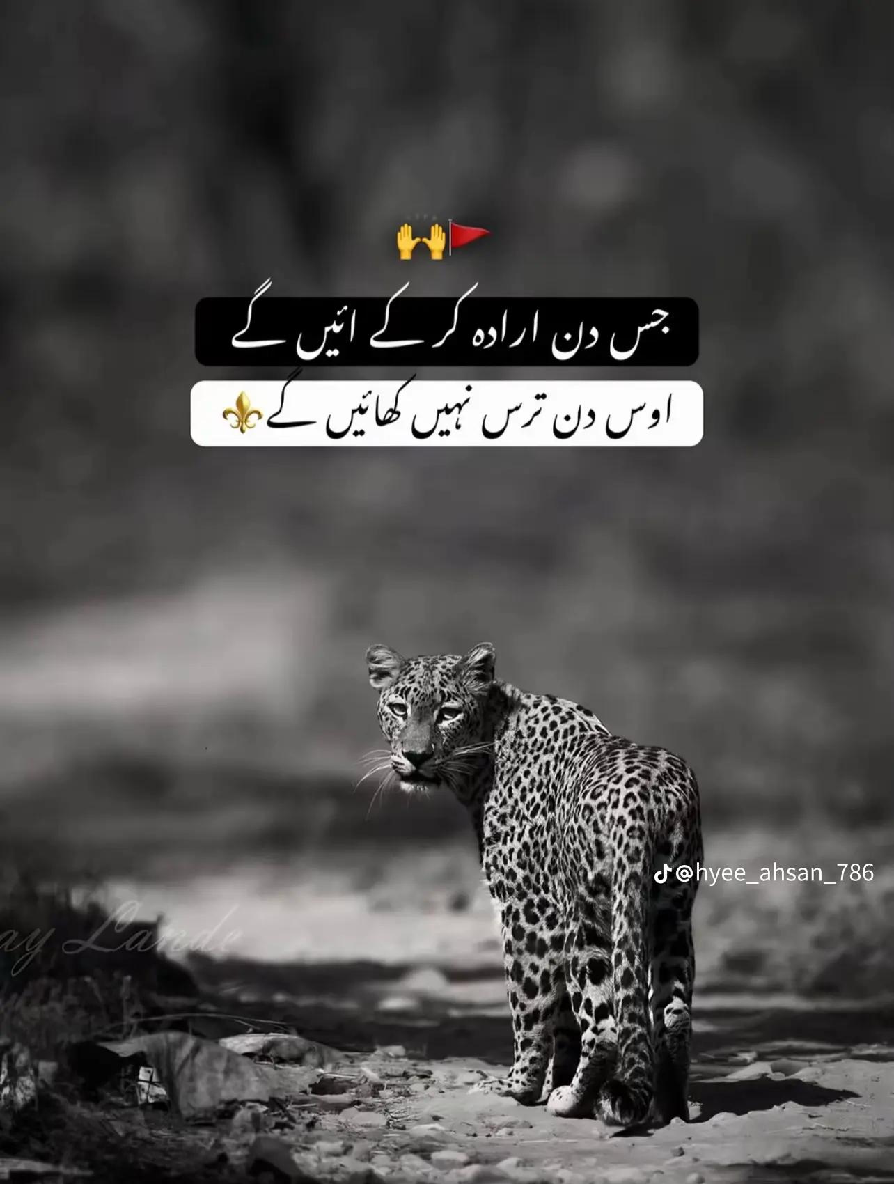 @چوھدری ارسلان سمور 98 والا🔥