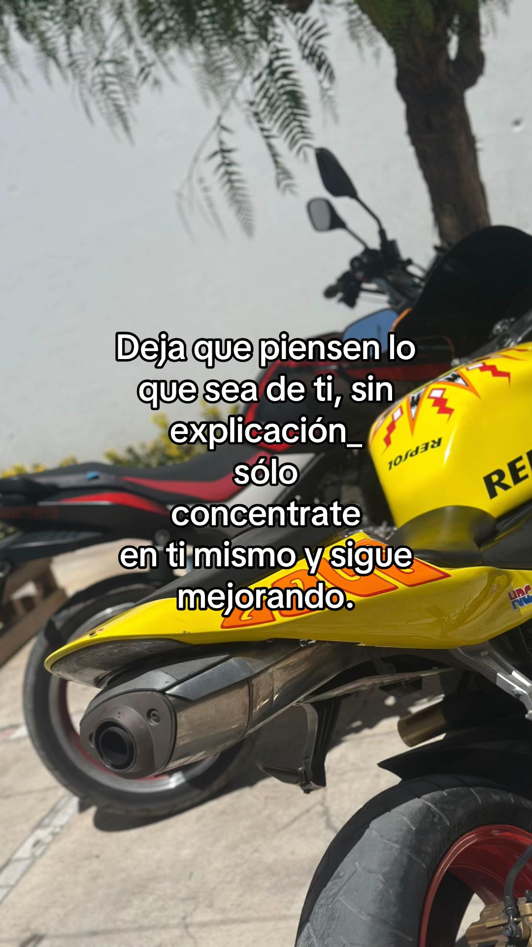 @bash_biker
