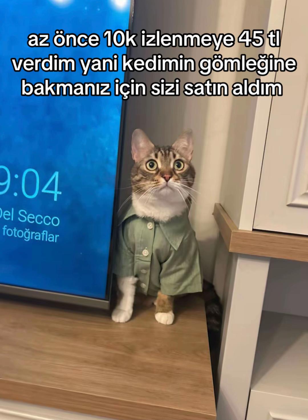 @eda ✩₊˚.⋆☾𓃠☽⋆⁺₊✧
