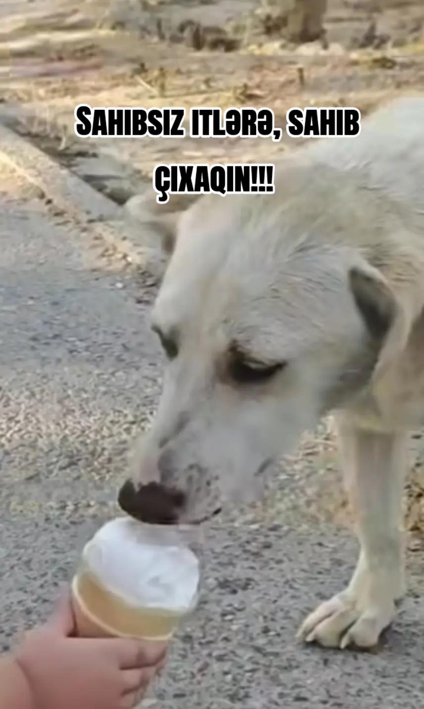 @Traktor_Aləmi