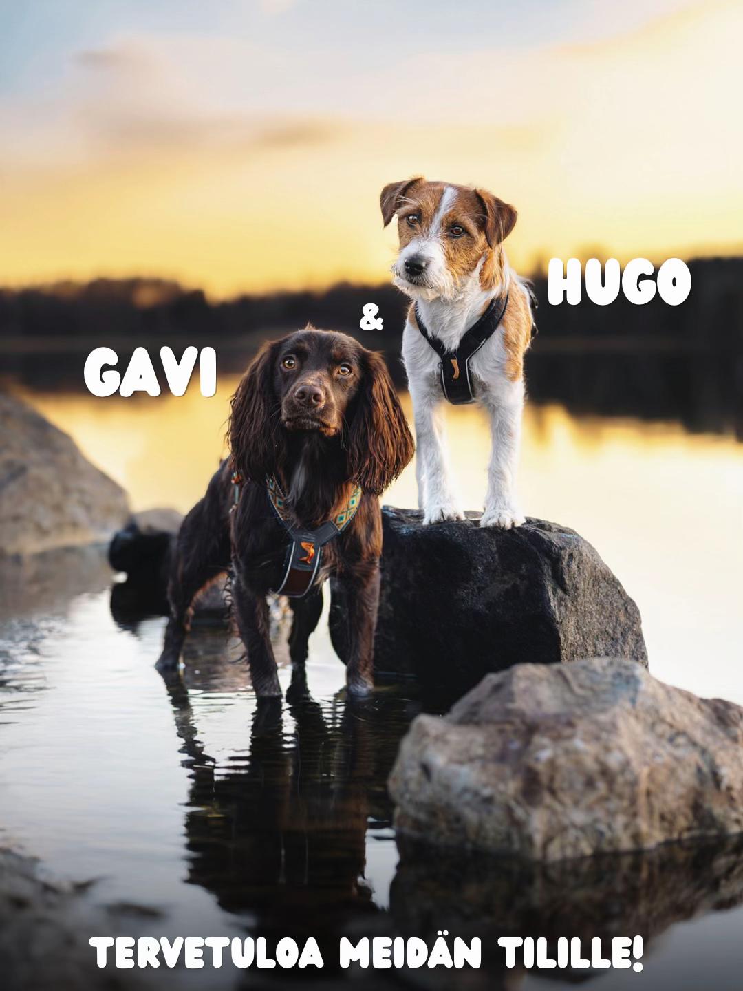 @Hugo ja Gavi🐶
