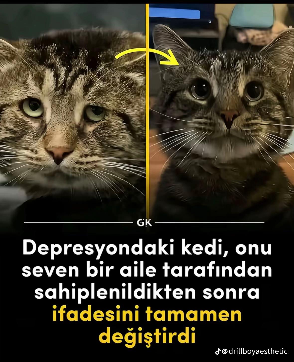 @ѕєνναℓ