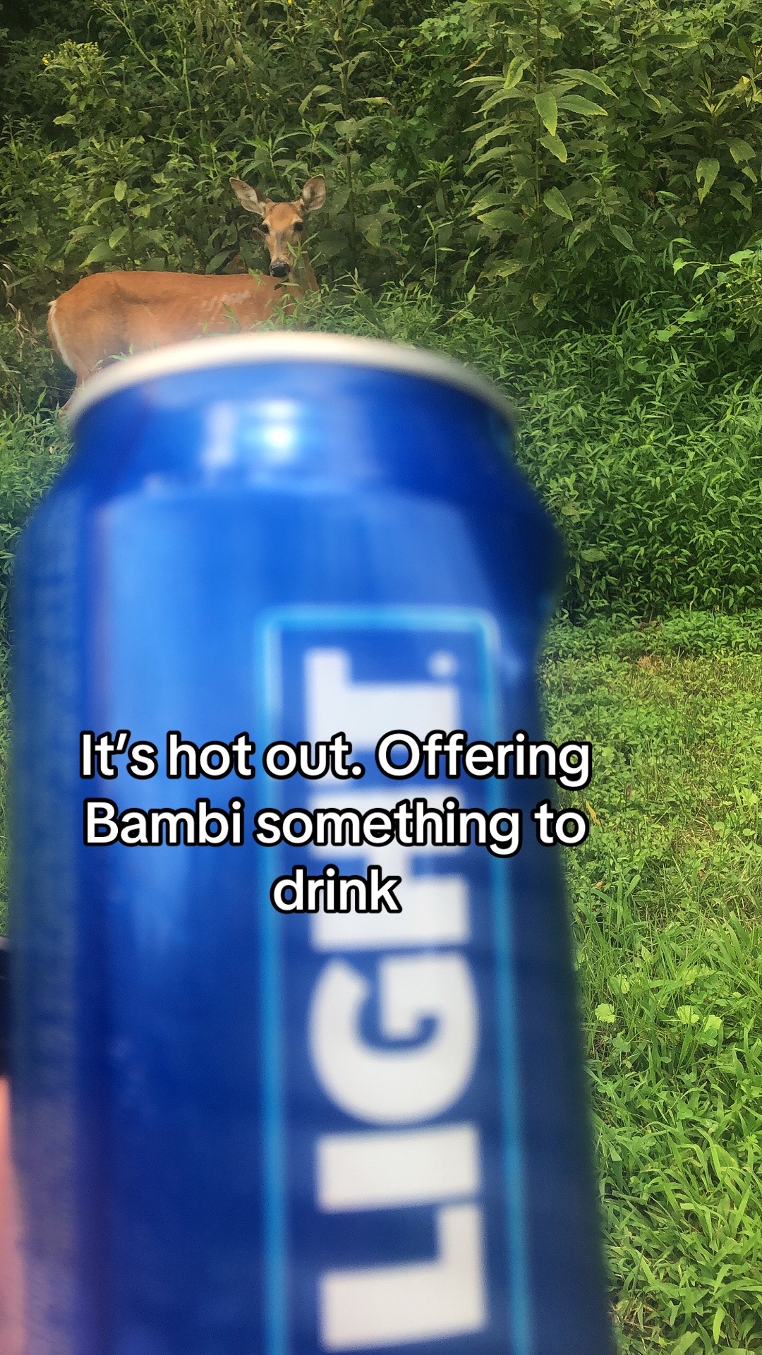 @$peanutbuttercraig