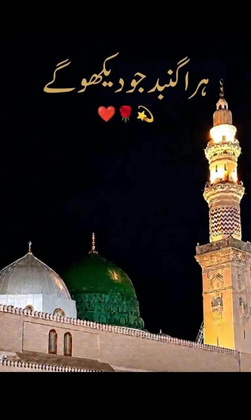@Saqib Ali001✅⛎