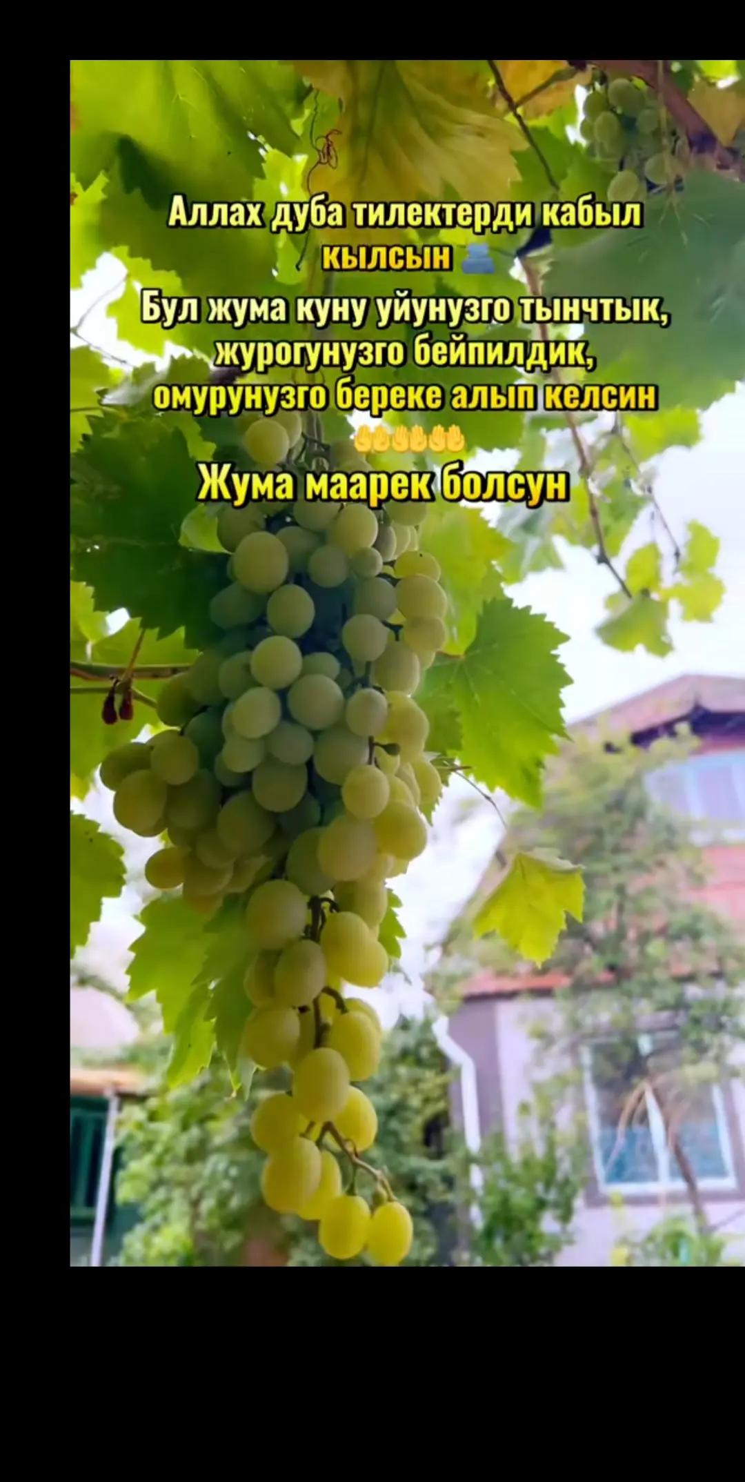@Kossem