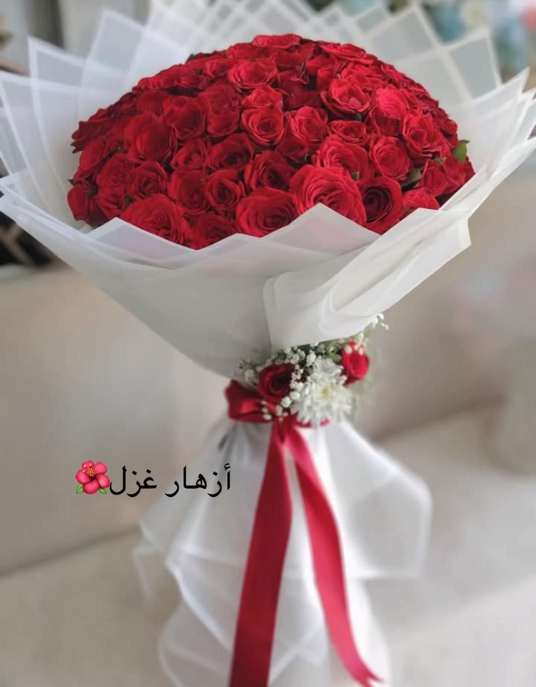 @Nour 💕shoman