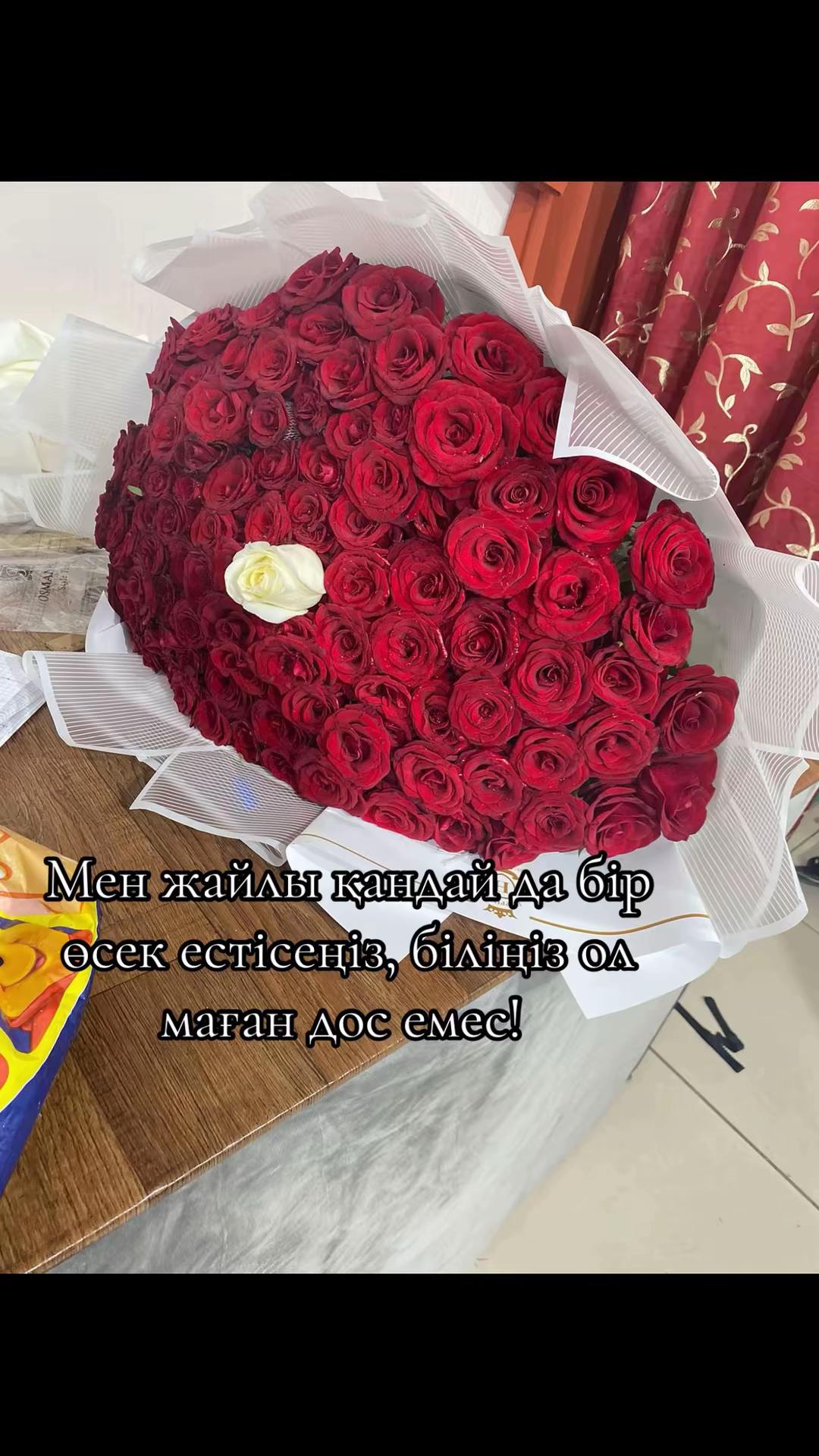 @✨Қаламқас✨