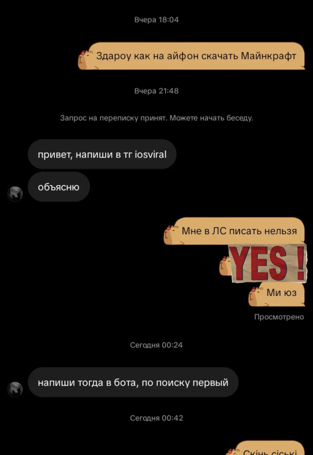 @goosexplay