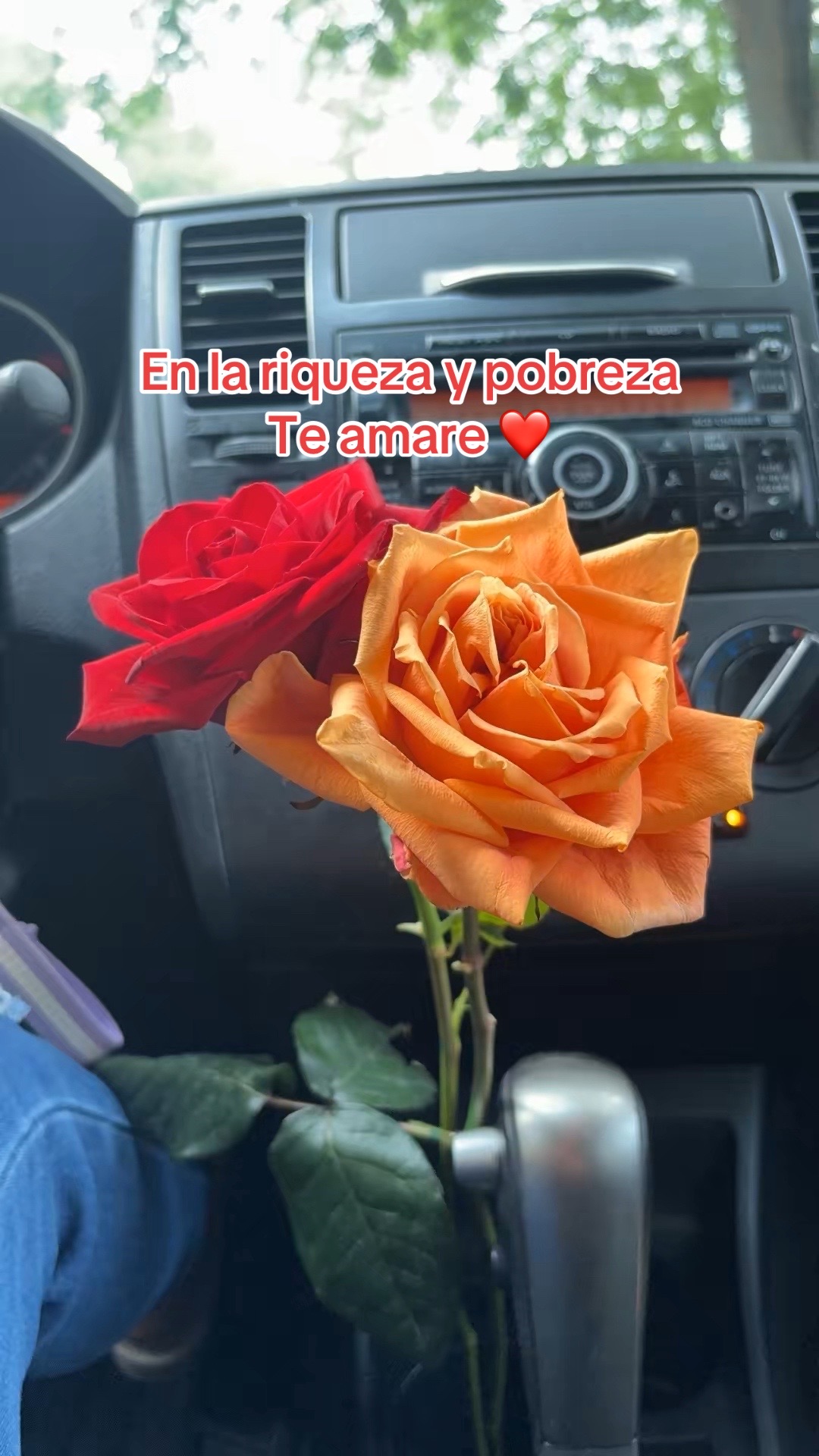 @rutila0320 🐚🐚