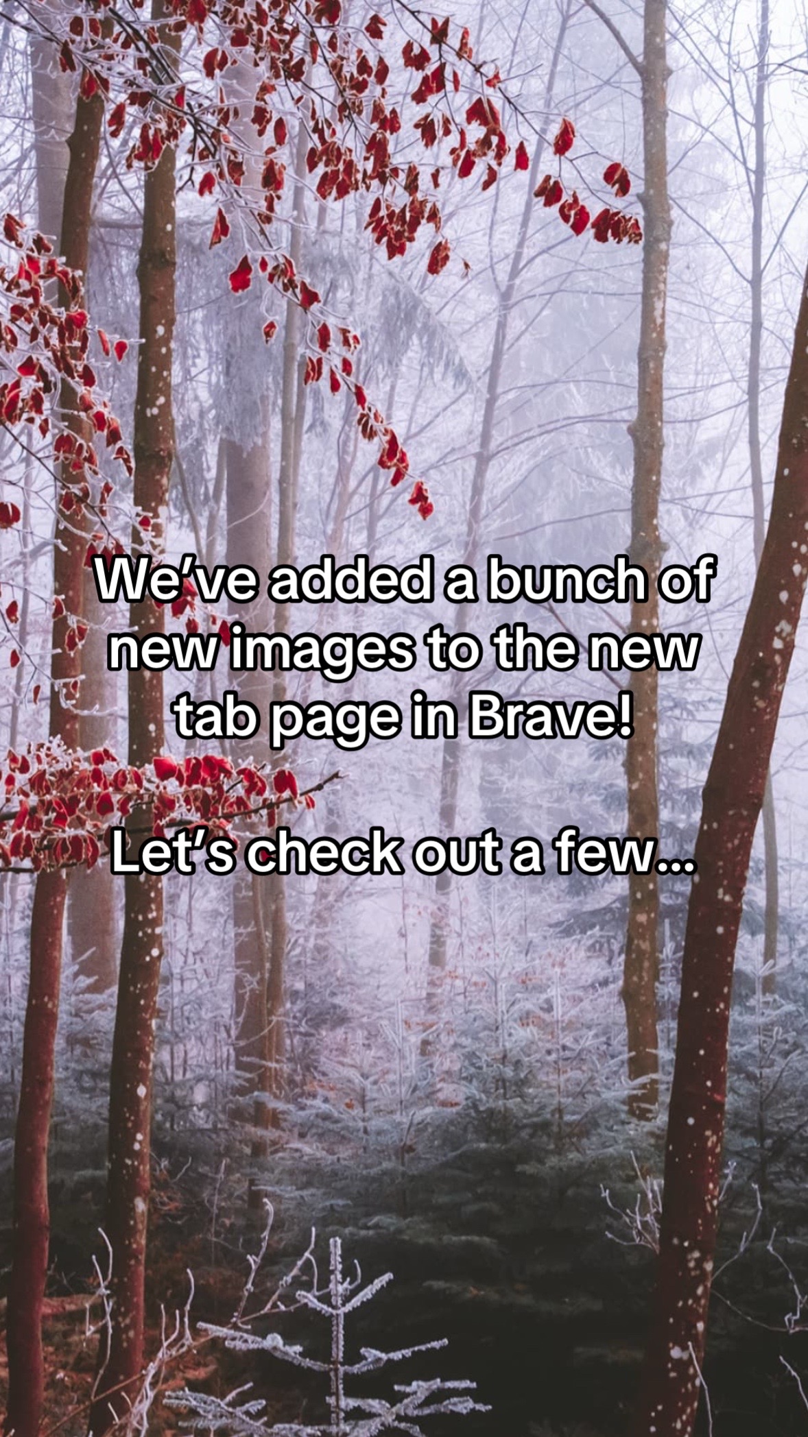 @Brave Browser